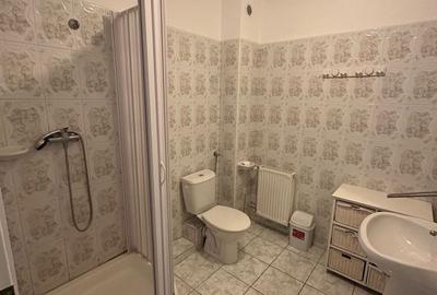 Casă cu 5 camere cu Canalizare în Lunei - 18