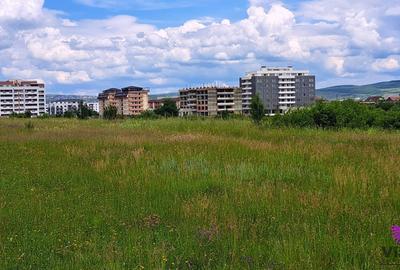 Teren Construcții intravilan de 2000 mp, în Turnișor - 4