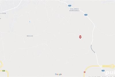 Teren de 4039 mp, în Borhanci - 9