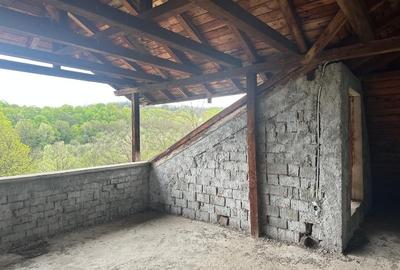 Casă individuală cu 16 camere cu Teren 5000 Mp în Malu Vârtop - 16