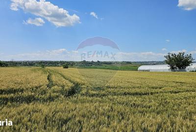 Teren de 15000 mp, în Central - 9