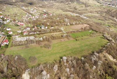 Teren Construcții intravilan de 23345 mp, în Cornu de Jos (Cornu) - 10
