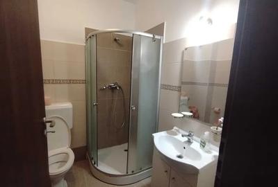 Apartament cu 2 camere decomandat, mobilat în Metalurgiei - 6