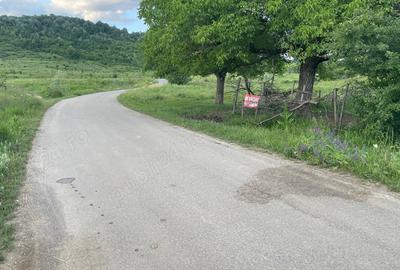 Teren de 1625 mp, în Poiana - 5