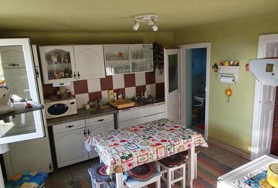 Casă cu 4 camere cu Teren 1600 Mp în Orțișoara - 7