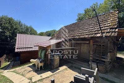 Casă cu Teren 771 Mp în Dumbrava - 7