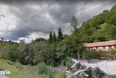 Teren de 32000 mp, în Rusca