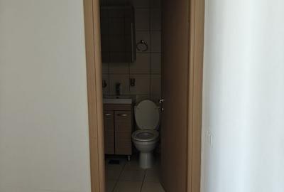 Garsonieră decomandată, mobilată în Theodor Pallady - 5