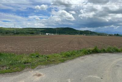 Teren Construcții extravilan de 3240 mp, în Șelimbăr - 2