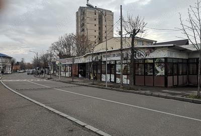 Spațiu comercial, de 273 mp, în Hașdeu