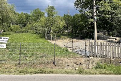 Teren de 4160 mp, în Provița de Sus