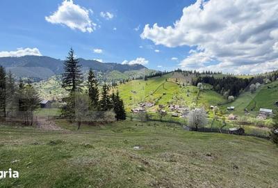 Teren de 16000 mp, în Sadova - 5