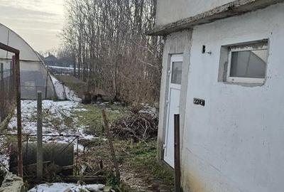 Casă cu Teren 351 Mp în Biharia - 6