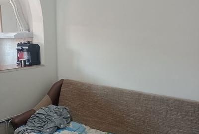 Garsonieră nedecomandată în Vladimirescu - 5