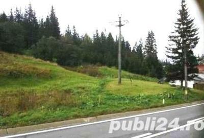 Teren de 10000 mp, în Central - 7