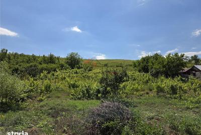 Teren de 4800 mp, în Tomești - 3