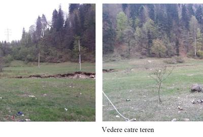 Teren Construcții intravilan de 4500 mp, în Timișu de Jos - 1