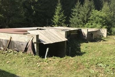 Teren de 3600 mp, în Sucevița - 4