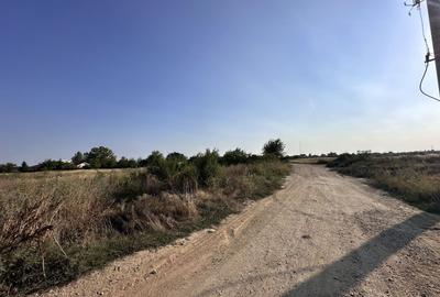 Teren Construcții intravilan de 3000 mp, în Tâncăbești - 9