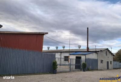 Spațiu comercial, de 800 mp, în Colonia Bod - 5