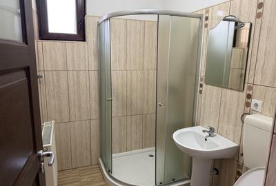 Apartament cu 3 camere decomandat, mobilat în Vasile Aaron - 9