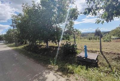 Teren Construcții intravilan de 2400 mp, în Săliște de Beiuș
