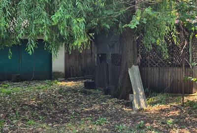 Casă cu 4 camere în Comana - 6