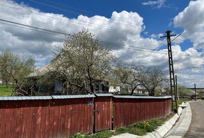 Teren intravilan de 4872 mp, în Antoceni - 5