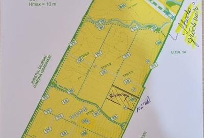 Teren Construcții intravilan de 30000 mp, în Ciorogârla - 1