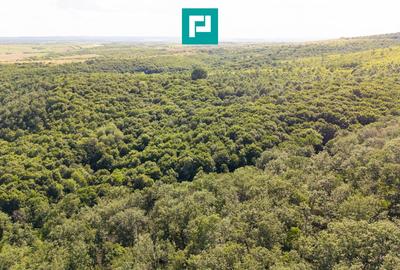 Teren agricol extravilan de 22900 mp, în Exterior Sud - 2