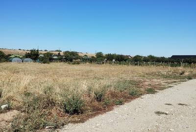 Teren Construcții intravilan de 644 mp, în Brebeni - 2