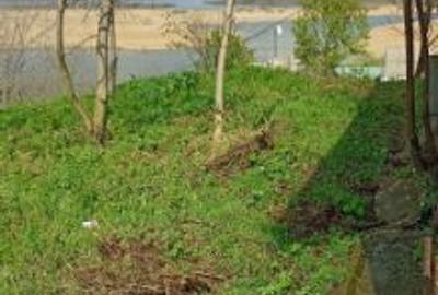 Teren intravilan de 1394 mp, în Somova - 2