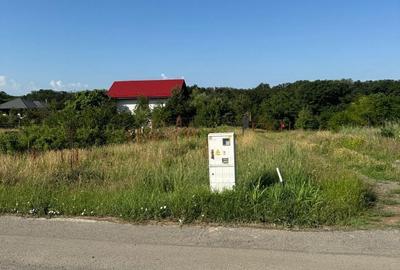 Teren de 1000 mp, în Brănești - 3