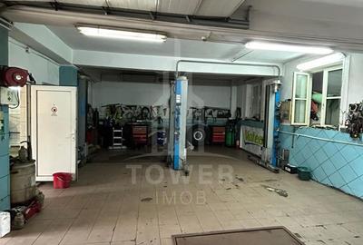 Spațiu industrial, de 300 mp, în Turnișor - 6
