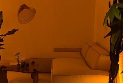 Apartament cu 2 camere semidecomandat, mobilat în Dorobanți - 3