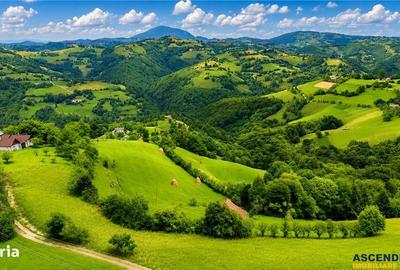 Spațiu comercial, în Poiana Mărului - 7