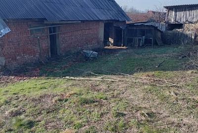 Casă cu 3 camere cu Teren 6627 Mp în Tincova - 6