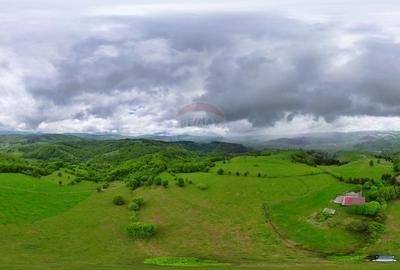 Teren extravilan de 11435 mp, în Sita Buzăului - 6