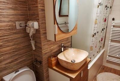 Apartament cu 2 camere semidecomandat, mobilat în Baba Novac - 11