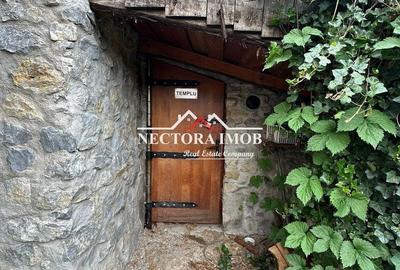 Casă cu 5 camere cu Teren 2300 Mp în Pocola - 2