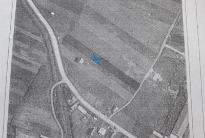 Teren de 3000 mp, în Jucu