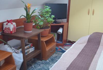 Penthouse cu 2 camere decomandat, mobilat în Central - 1