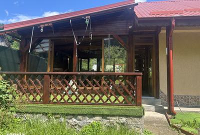 Casă cu 2 camere în Negulești - 8