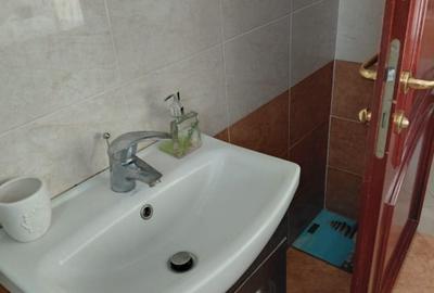 Apartament cu 2 camere semidecomandat în Nicolina - 8