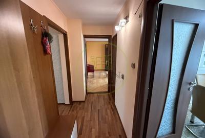 Apartament cu 4 camere decomandat, mobilat în Brazda lui Novac - 14