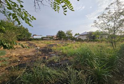 Casă cu 4 camere în Vișina - 7