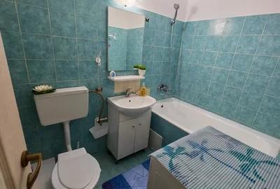 Garsonieră semidecomandată în Craiovița Nouă - 6