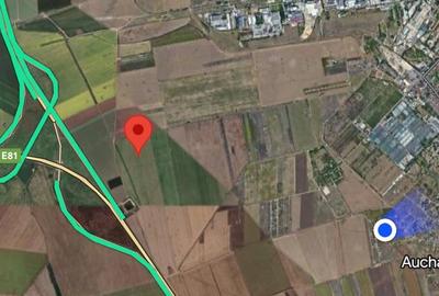 Teren de 12500 mp, în Viile Noi
