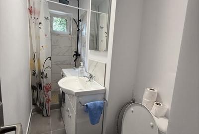 Apartament cu 2 camere nedecomandat, mobilat în Șagului - 12