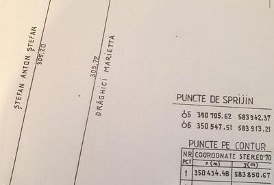 Spațiu comercial, în Vlădiceasca